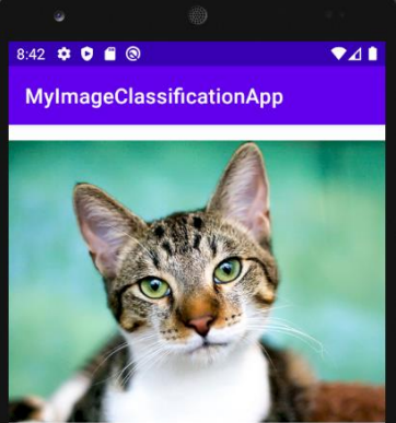 imageclassification_app